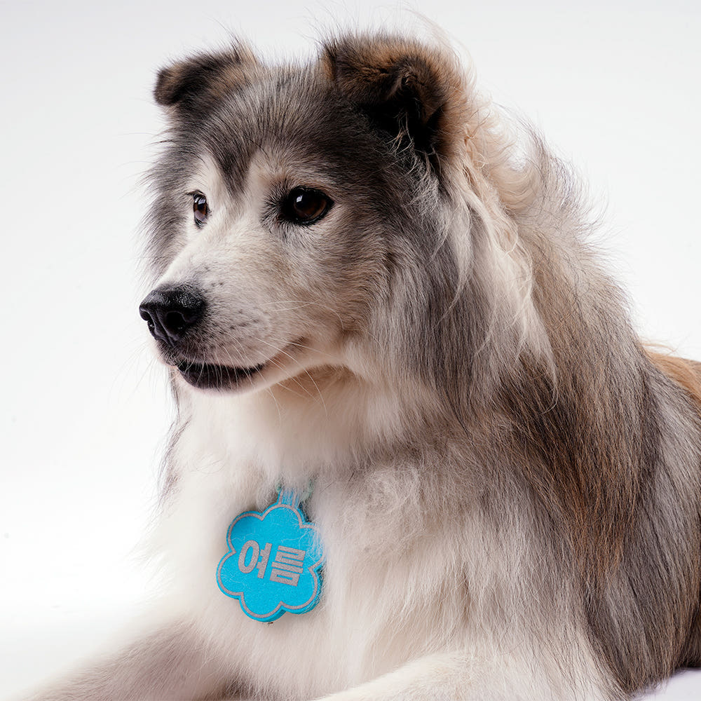 2mm 네임택 사이즈 비교