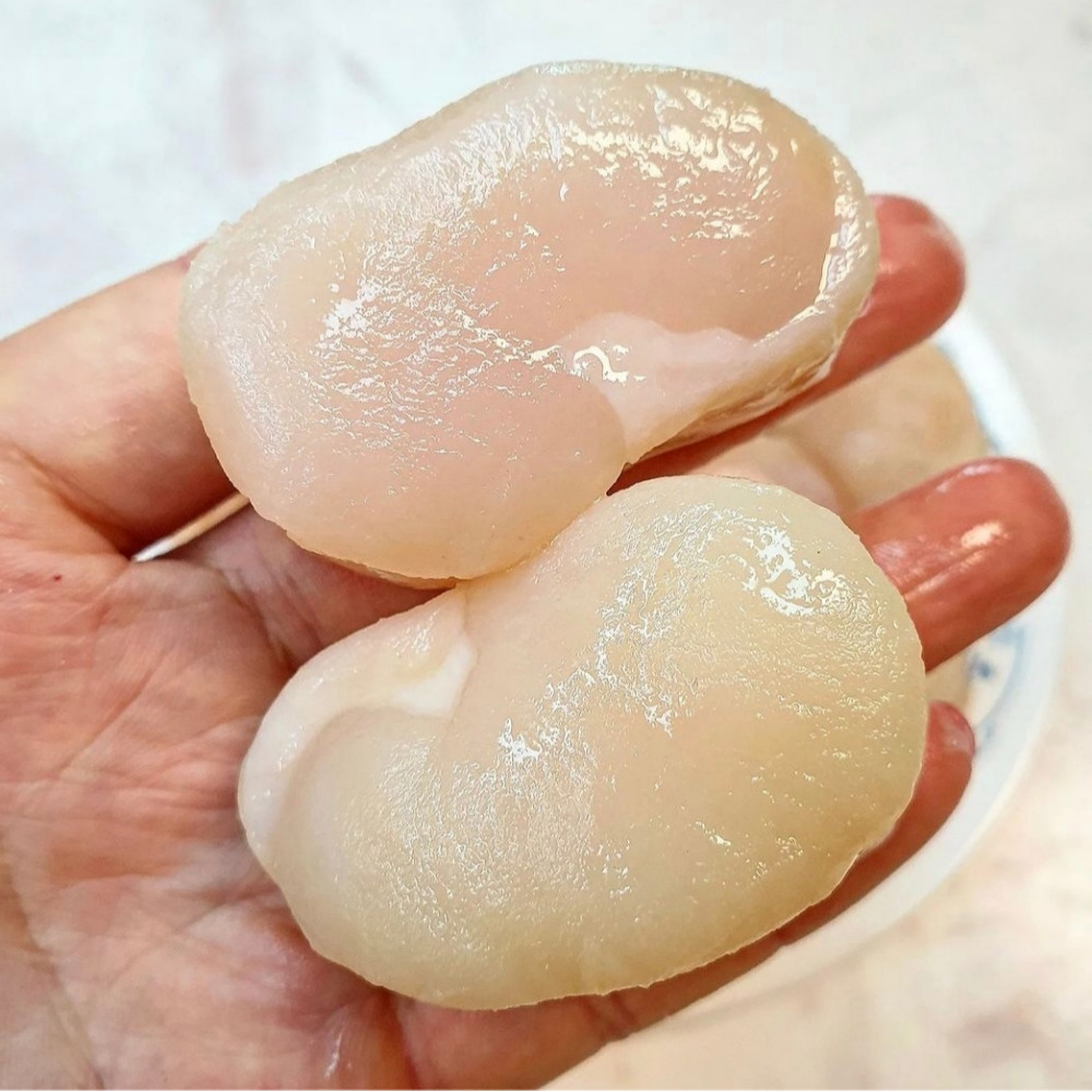 동광수산 키조개 관자 500g