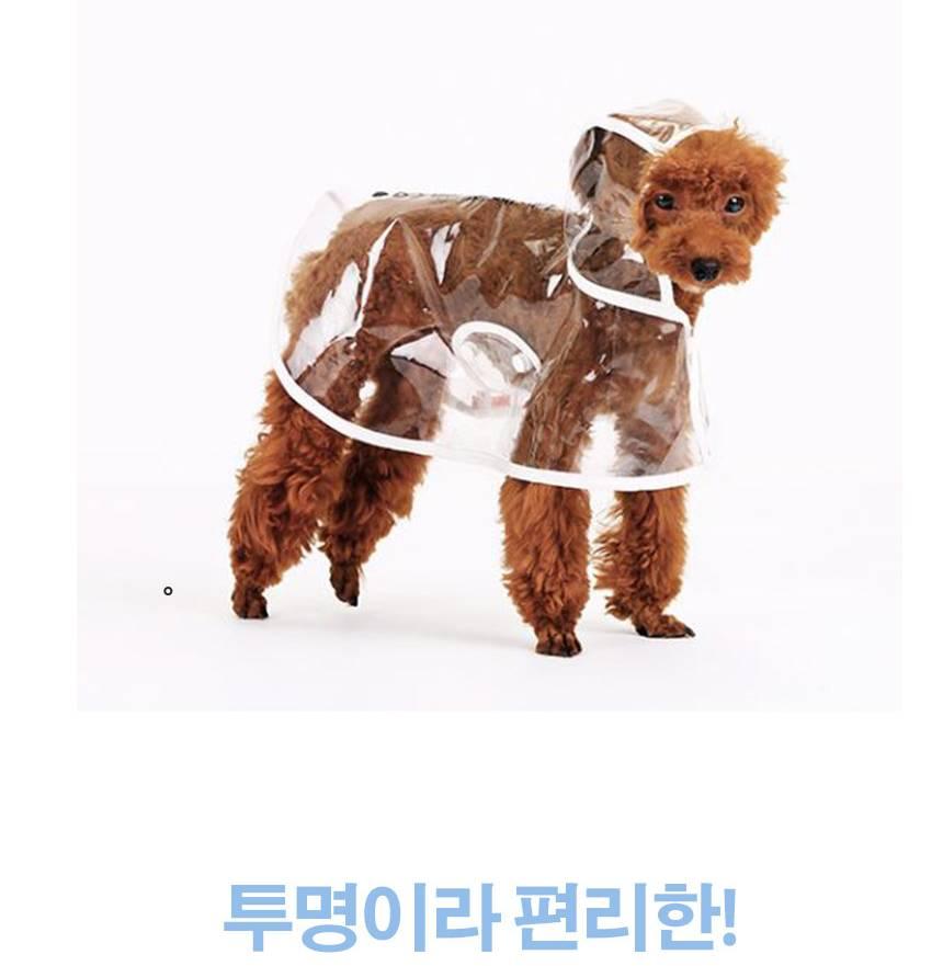 푸들비옷 강아지 비닐 우비 비숑 레인코트 - 상세 이미지 4