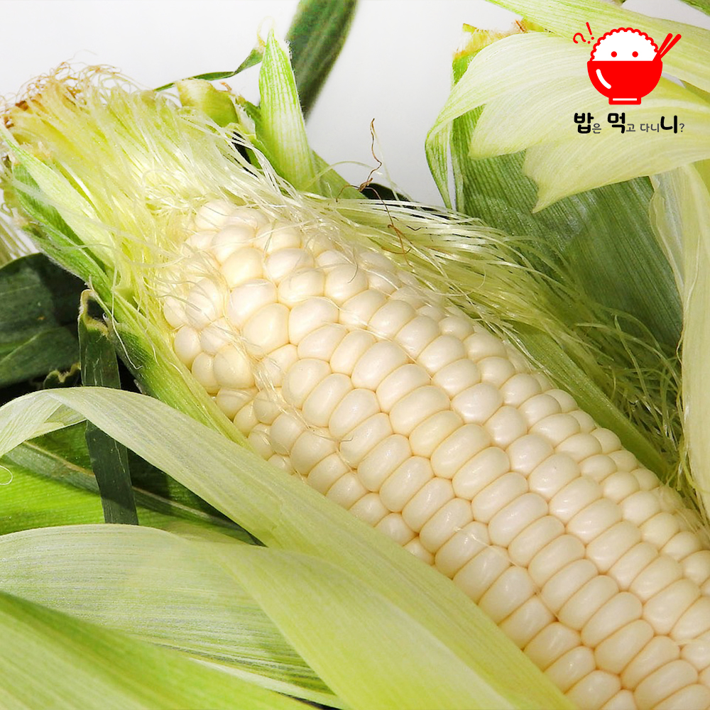 강원도 찰옥수수 미백 생옥수수 맛있는 흑찰 알록이 - 상세 이미지 5