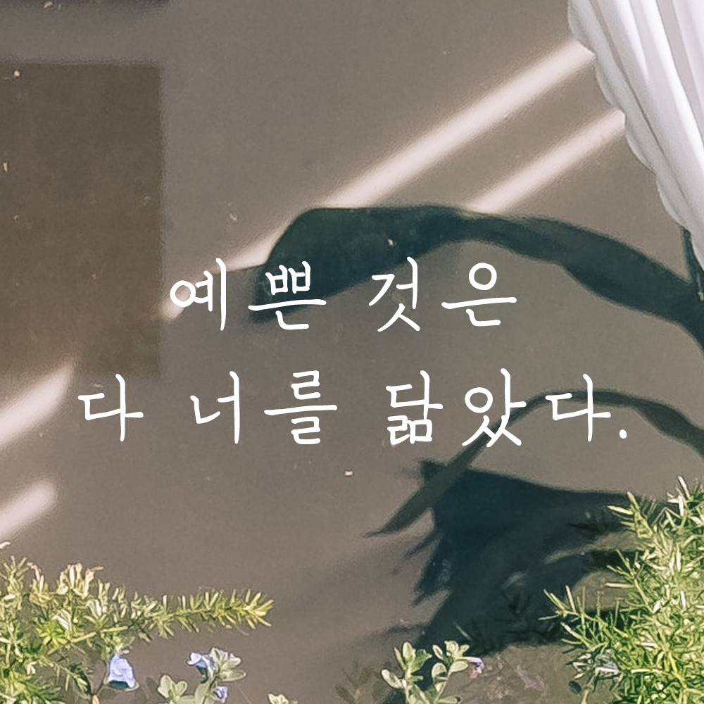 인테리어 포인트 감성 손글씨 레터링 스티커 예쁜 것은 다 너를 닮았다 LH-061S 검정 - 상세 이미지 2