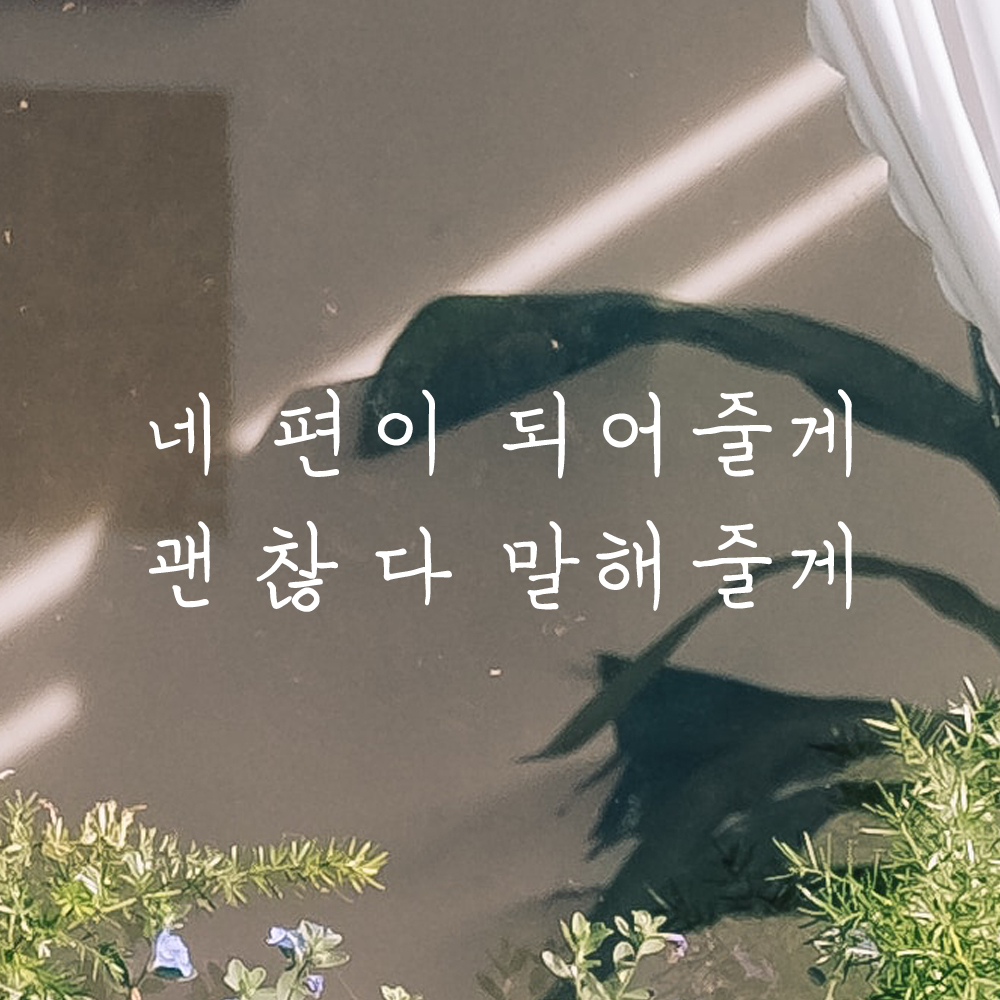 인테리어 감성 손글씨 레터링 스티커 네 편이 되어줄게 괜찮다 말해줄게 LH-062S 검정 - 상세 이미지 2