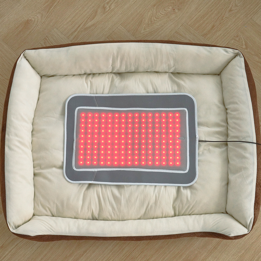 시리어스펫 슬개골 따땃패드 프로 강아지 고양이 디스크 근적외선 온열 찜질 조사기