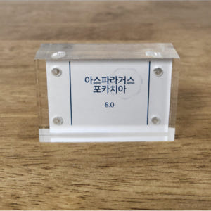 아크릴 가격표 POP꽂이 아크릴 메뉴판 안내판 6x4cm 두께 6mm 실사용 후기 | 효과 있을까? - 상품 이미지 3