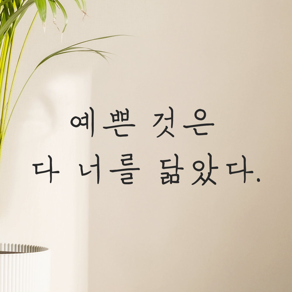 인테리어 포인트 감성 손글씨 레터링 스티커 예쁜 것은 다 너를 닮았다 LH-061S검정 - 상품 이미지