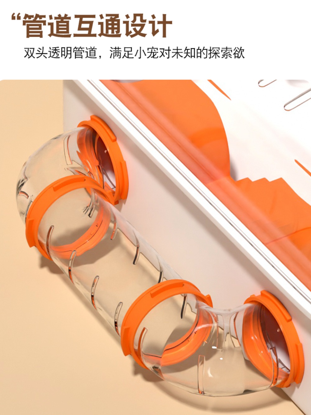 피그미다람쥐사육장 아크릴사육장 아크릴 하우스 햄스터사육장 햄스터 패키지 - 상세 이미지 5