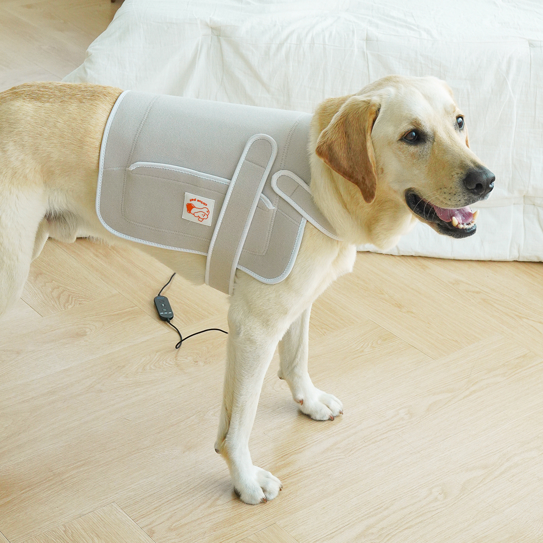 시리어스펫 슬개골 따땃패드 프로 강아지 고양이 디스크 근적외선 온열 찜질 조사기