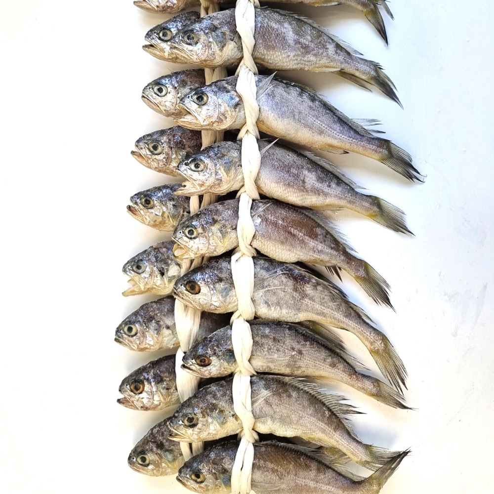 법성포 영광 참굴비 20미 40미 15-16cm 천일염 실속형굴비 : 밥앤찬