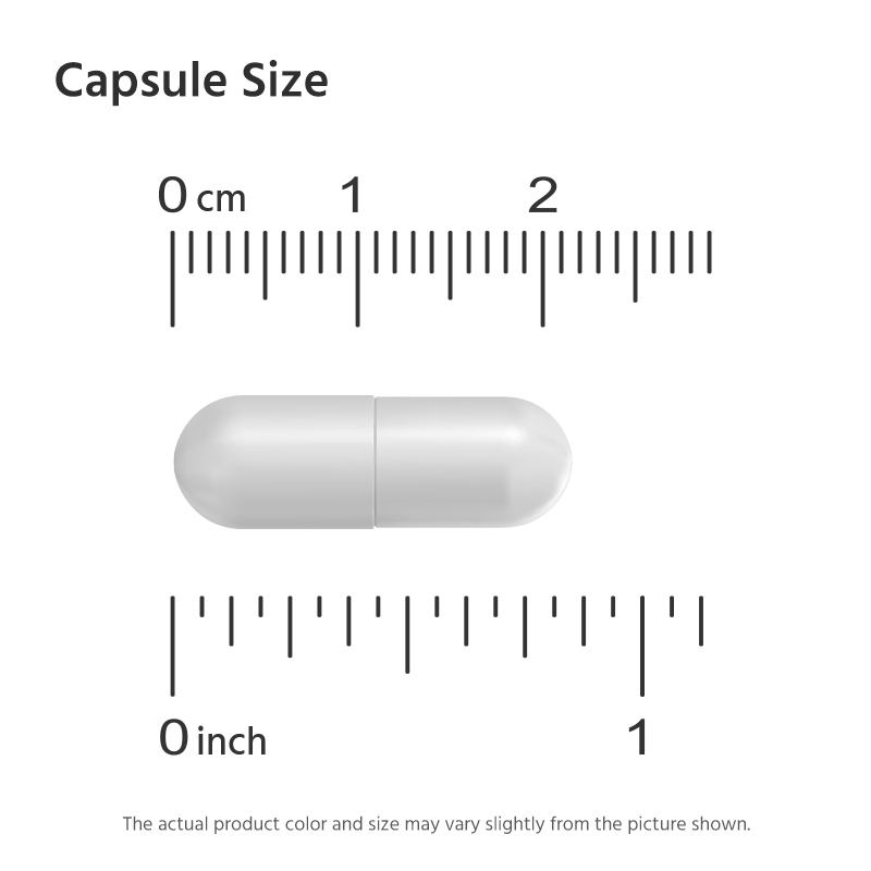 [미국배송] 마이라이프 내추럴스 보스웰리아 500mg 알약 240캡슐, 6개 이미지 4