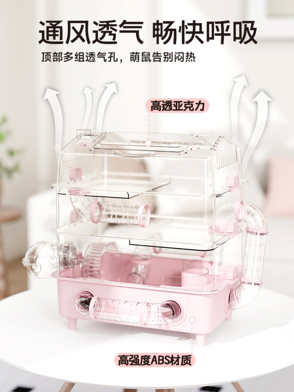피그미다람쥐사육장 하우스 패키지 사육장 투명 아크릴사육장 햄스터관찰존 - 상세 이미지 2