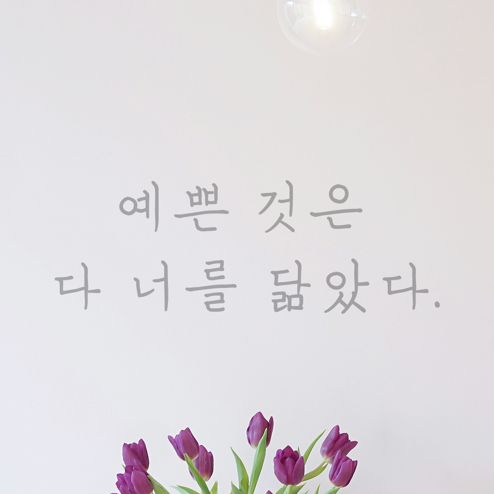 인테리어 포인트 감성 손글씨 레터링 스티커 예쁜 것은 다 너를 닮았다 LH-061S검정 - 상세 이미지 3