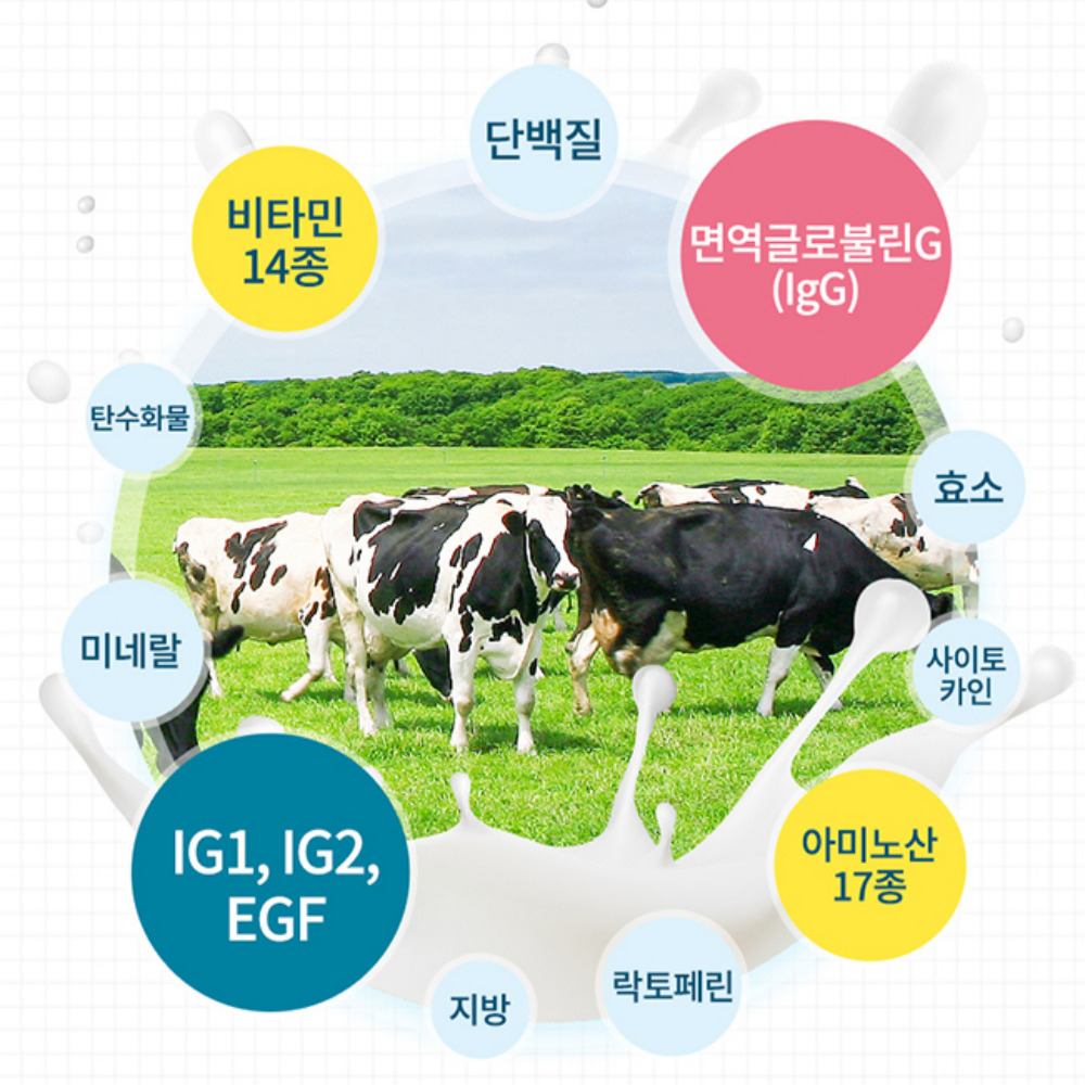 엔젯오리진 뉴질랜드 초유파우더 100% 아기초유 단백질 분말 면역글로불린 30포 - 상세 이미지 3