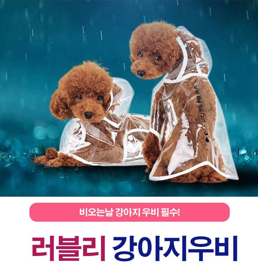 푸들비옷 강아지 비닐 우비 비숑 레인코트 - 상세 이미지 2