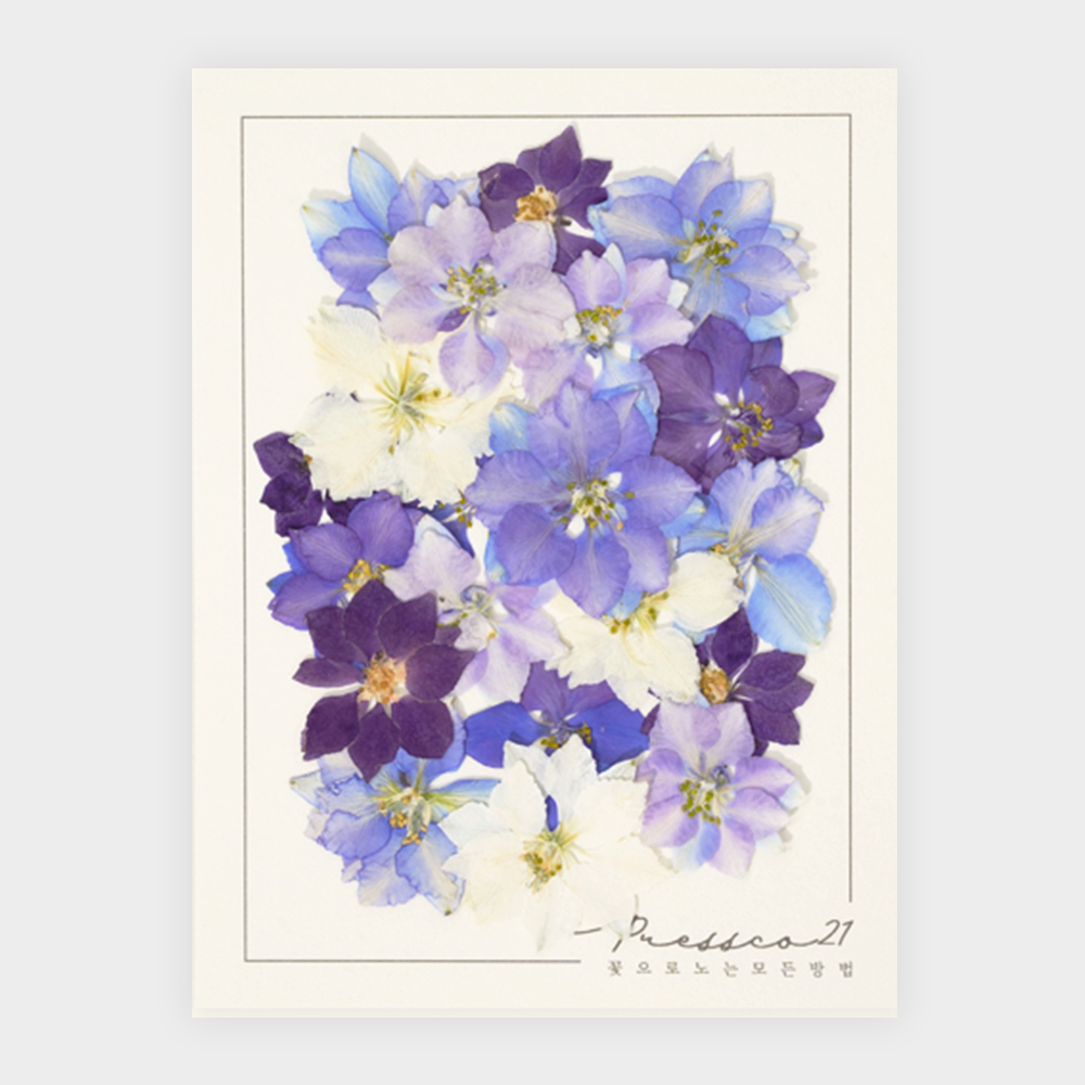 [프레스코21] 압화 압화꽃 꽃송이 혼합꽃팩 마가렛 이미지 3