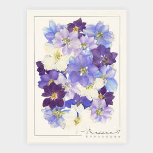 [프레스코21] 압화 압화꽃 꽃송이 혼합꽃팩 마가렛 실사용 후기 | 효과 있을까? - 상품 이미지 3