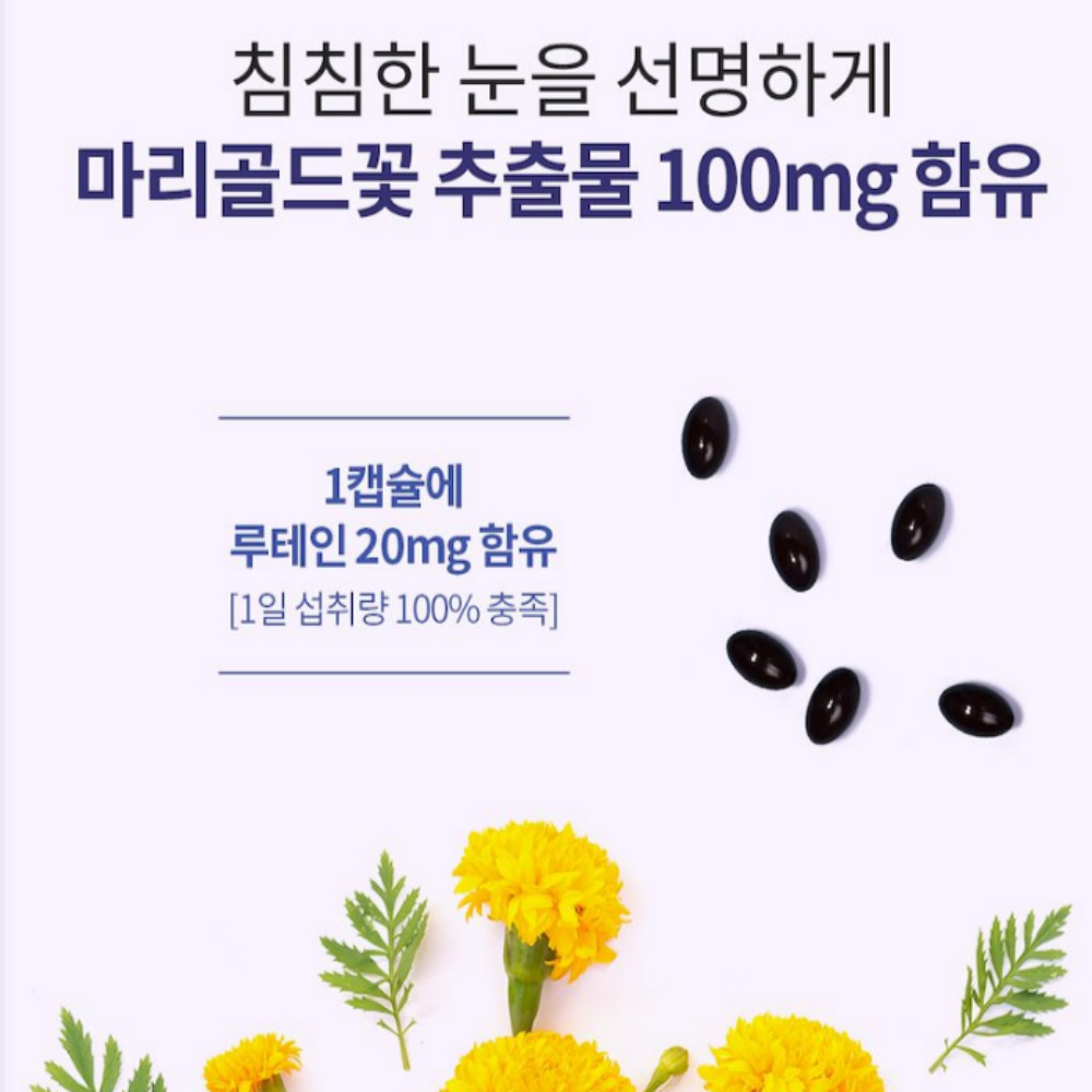 빌베리 루테인 토탈 아이케어 마리골드꽃 추출물 눈에좋은 눈건강 루테인효능 - 상세 이미지 3