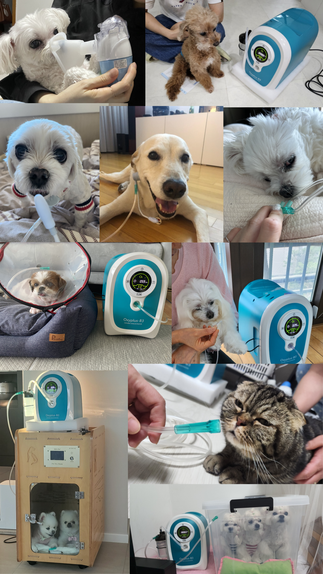 [한달무료] 강아지산소방 의료용 산소발생기 대여 렌탈 임대 산소호흡기 무약정