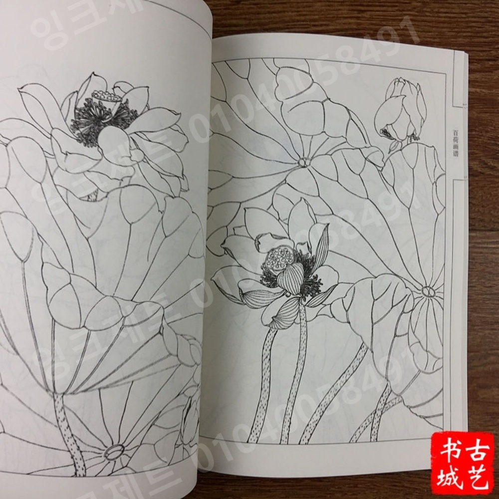 연꽃 스케치 색칠놀이 배경 정원 회화 컬러링 색연필 - 상세 이미지 3