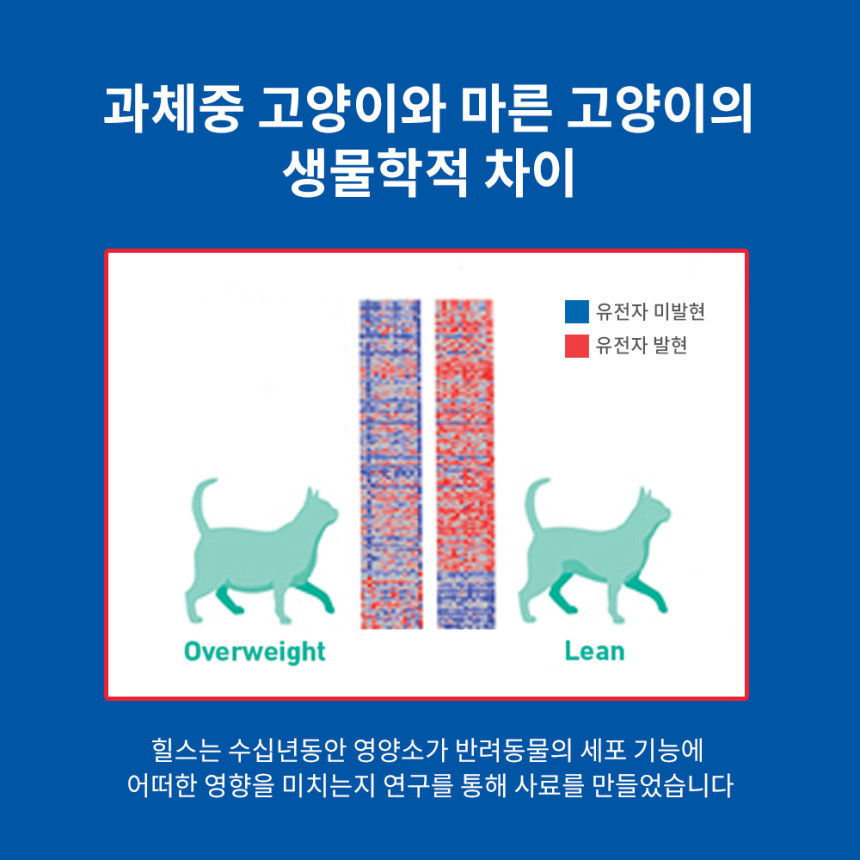힐스 고양이사료 어덜트 퍼펙트 웨이트 1.4kg 사진 2