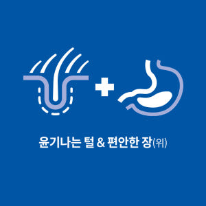 힐스 강아지사료 어덜트 센서티브 스토막 앤 스킨 1.8kg 솔직 후기 | 실제 사용자 리뷰 총정리 - 상품 이미지 2