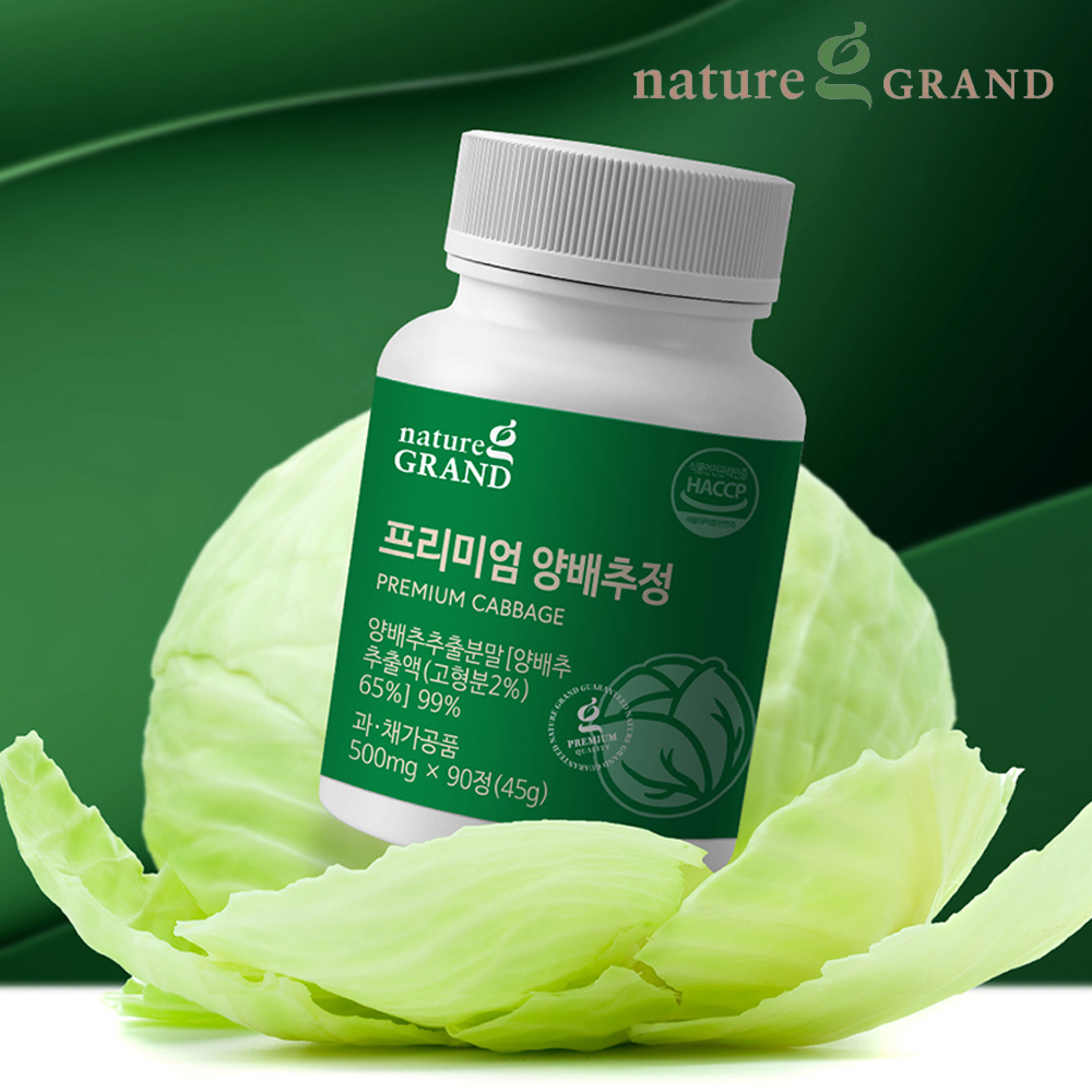 국산 양배추정 캐비지정 캐비지 양배추환 약3개월 - 상세 이미지 2