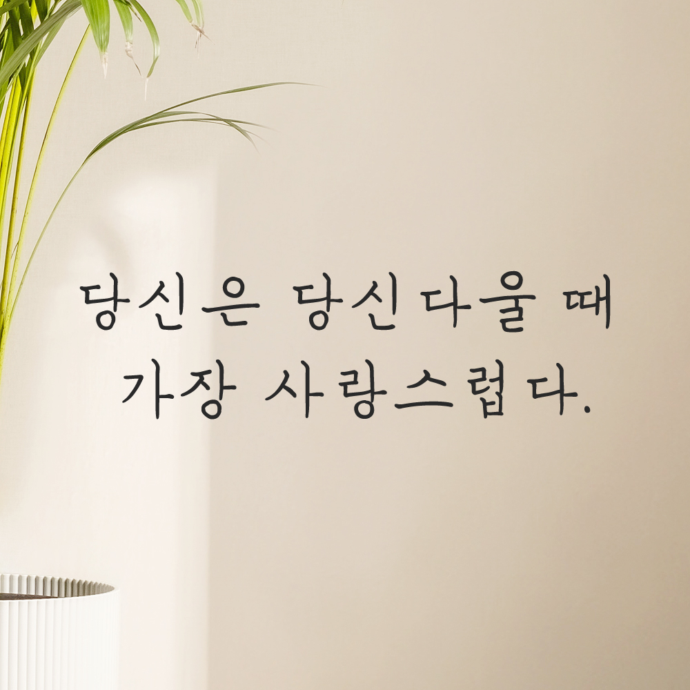 인테리어 손글씨 레터링 스티커 당신은 당신다울 때 가장 사랑스럽다 LH-066S 검정 이미지 8