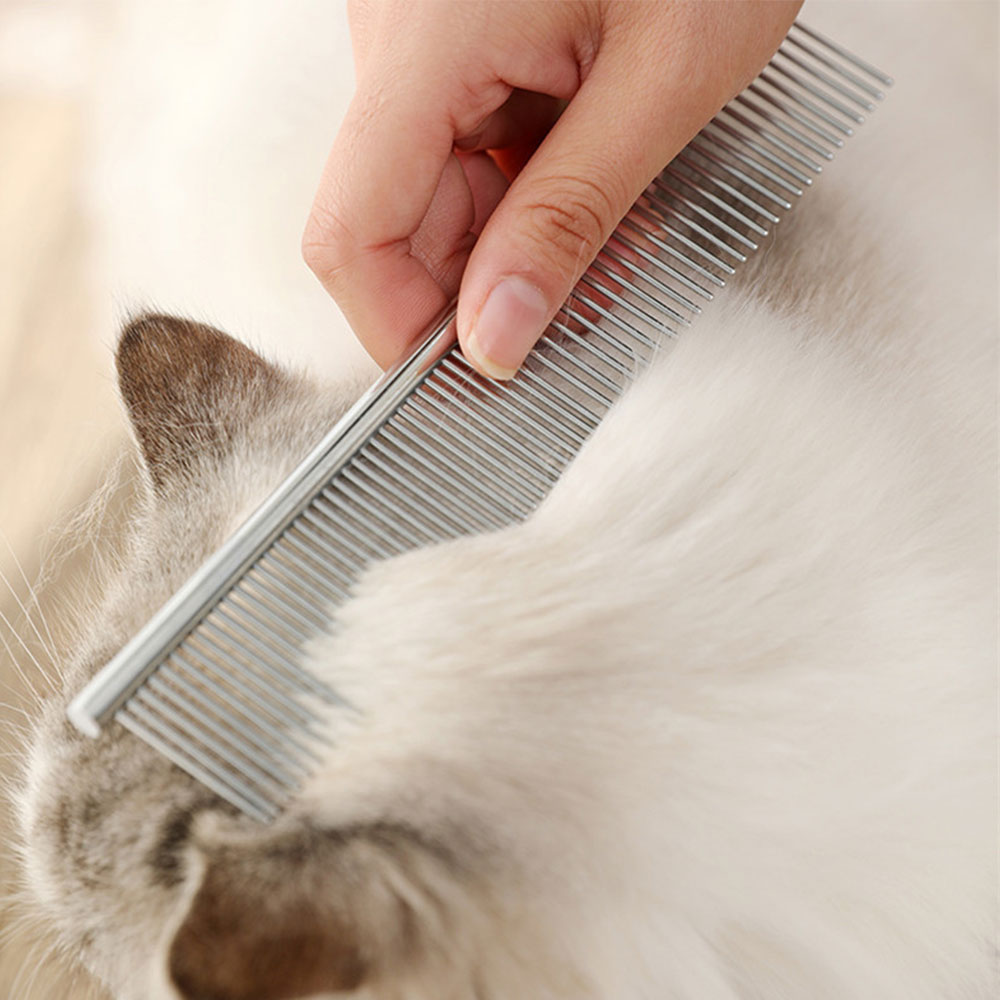 크레용펫 강아지 눈꼽빗 미용빗 고양이 콤 브러쉬 털관리 - 상품 이미지