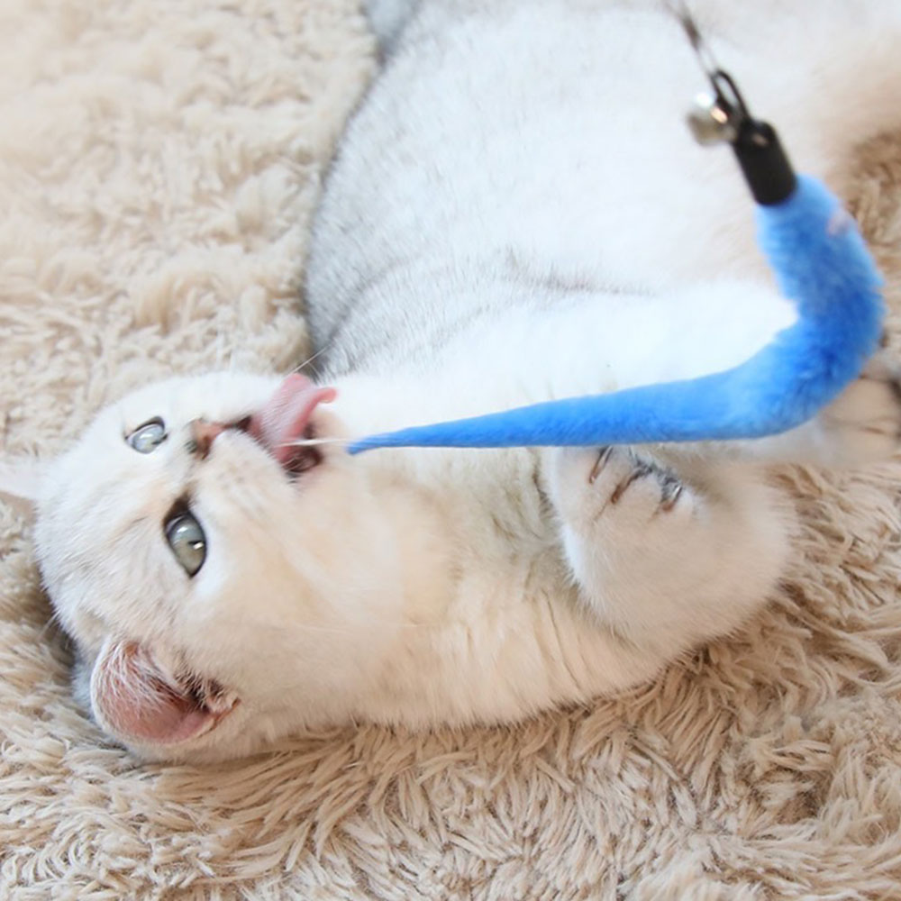크레용펫 고양이 낚시대 리필 교체 스네이크 테일 카샤 형광 - 상세 이미지 3