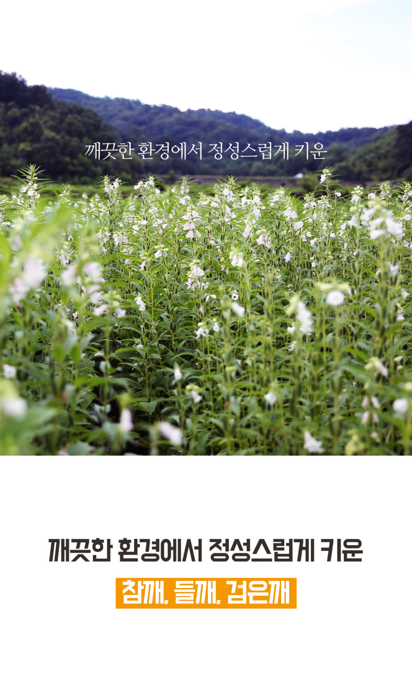 소화농장 2026년 햇 참깨 2025년 검은깨 흑임자 볶은참깨 흑임자 생들깨 볶은들깨 판매처 상세 정보 이미지 3
