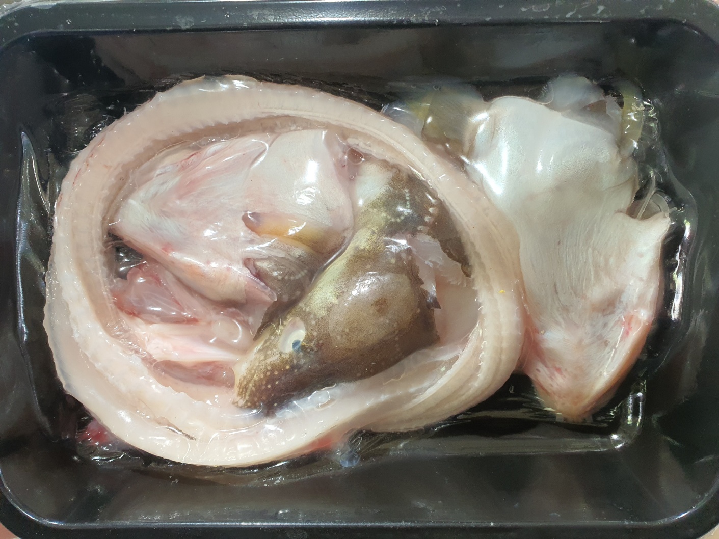 바다의보양식 장어2kg 이미지 6