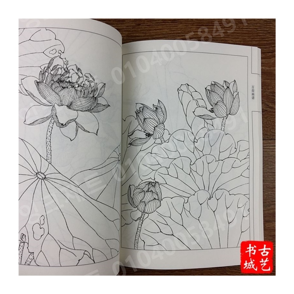 연꽃 스케치 색칠놀이 배경 정원 회화 컬러링 색연필 - 상세 이미지 5