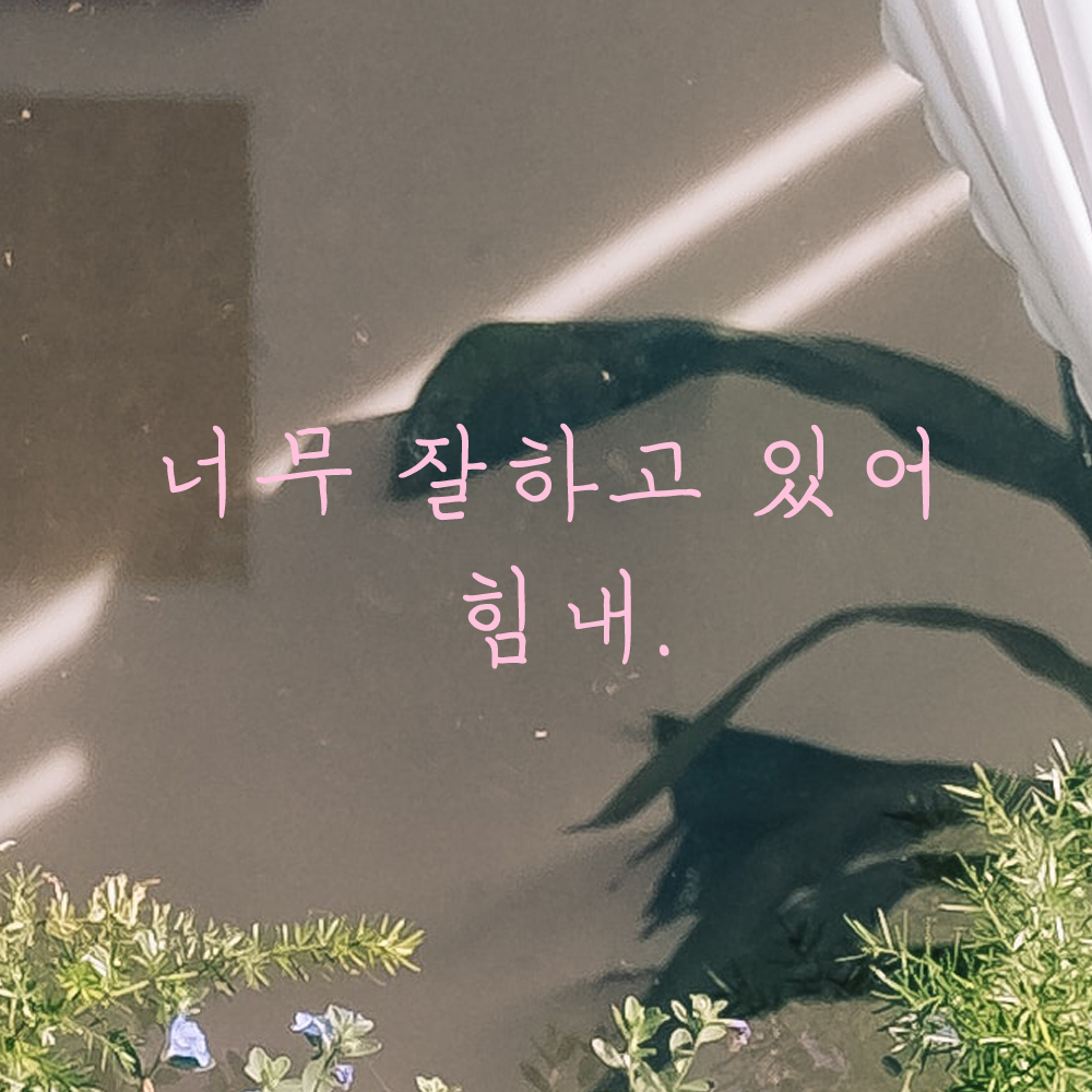 인테리어 포인트 감성 손글씨 레터링 스티커 너무 잘하고 있어 힘내 LH-065S 검정 - 상세 이미지 4