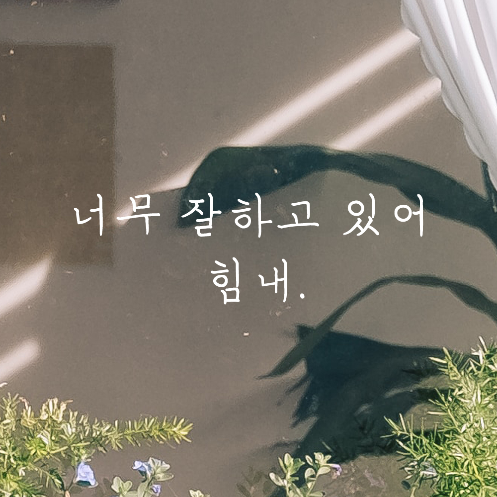 인테리어 포인트 감성 손글씨 레터링 스티커 너무 잘하고 있어 힘내 LH-065S 검정 - 상세 이미지 2