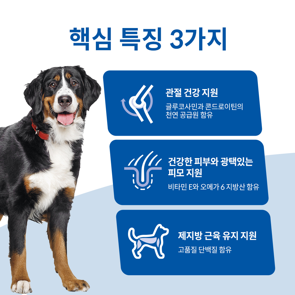 힐스 강아지사료 대형견용 라지브리드 어덜트 6.8kg 이미지 3