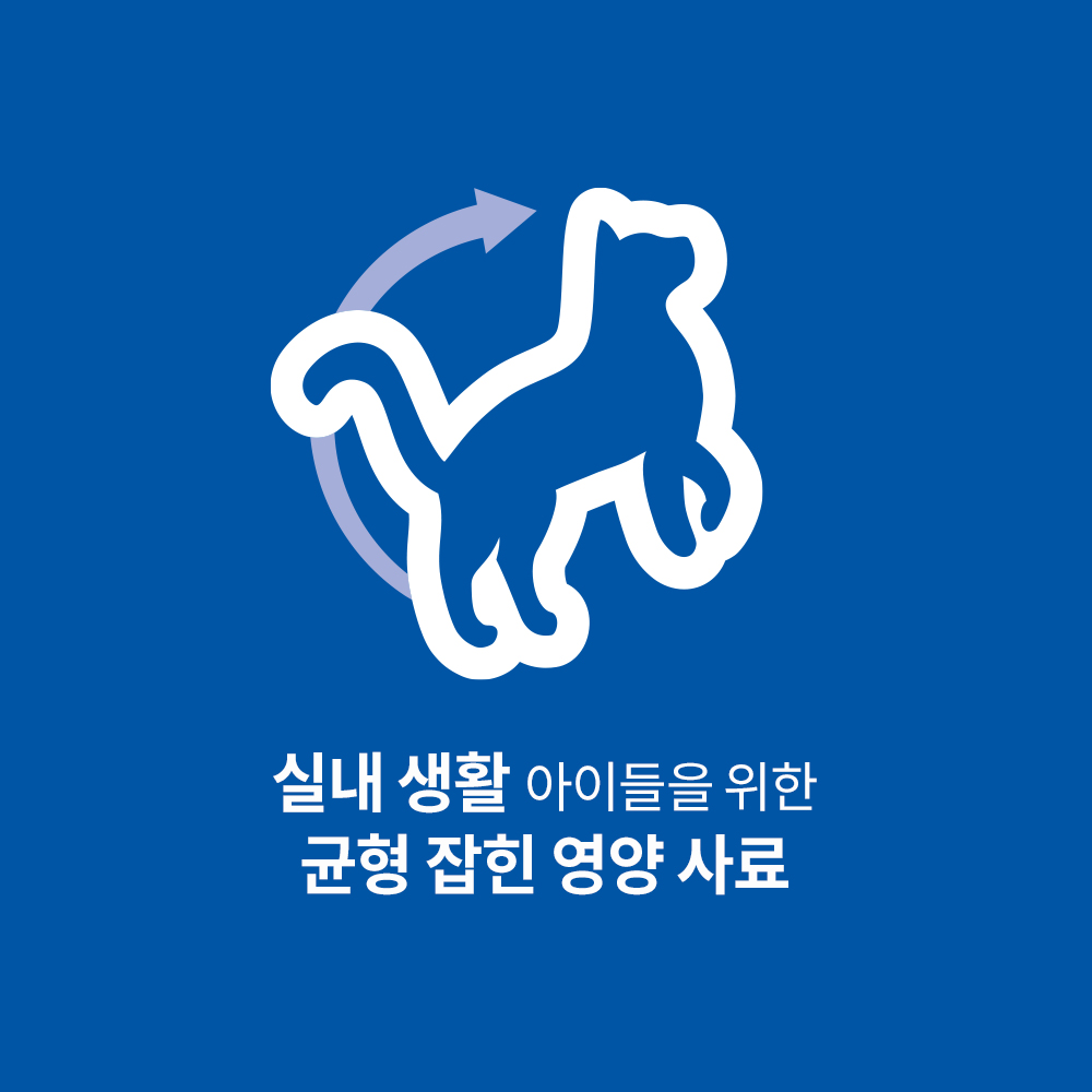 힐스 고양이사료 어덜트 인도어 연어 & 야채 메들리 스튜 156g x 12개 - 상세 이미지 2