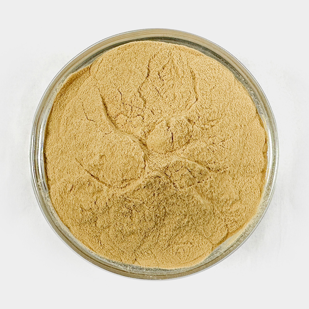 홍국발효구기자 분말 1kg(250gx4) 청양구기자 가루 - 상세 이미지 5