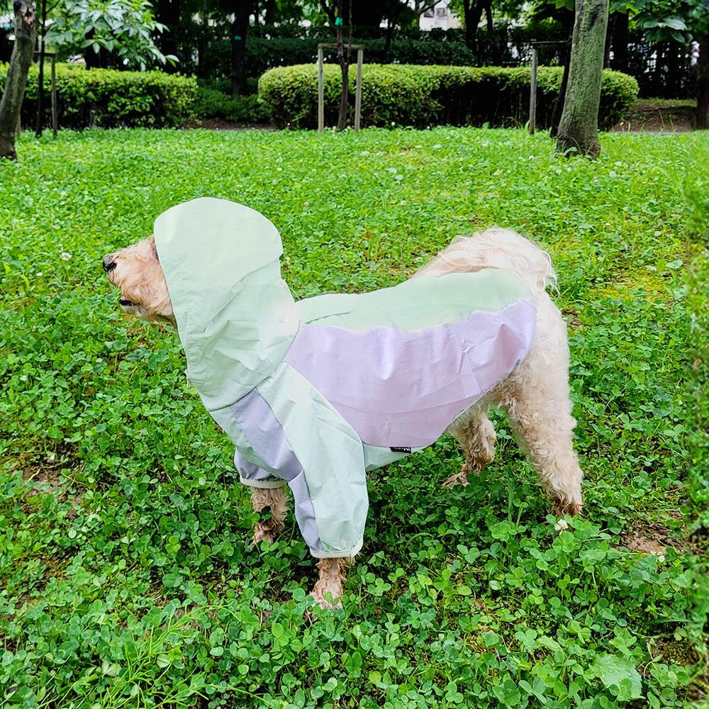 레토 강아지옷 우비 바람막이 애견의류 고양이옷 - 상세 이미지 3