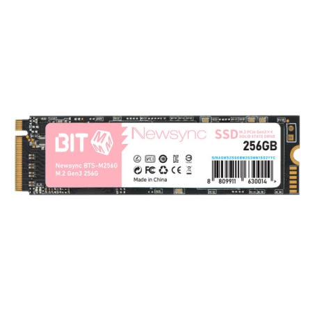 비트엠 Newsync BITS M.2 NVMe (256GB)