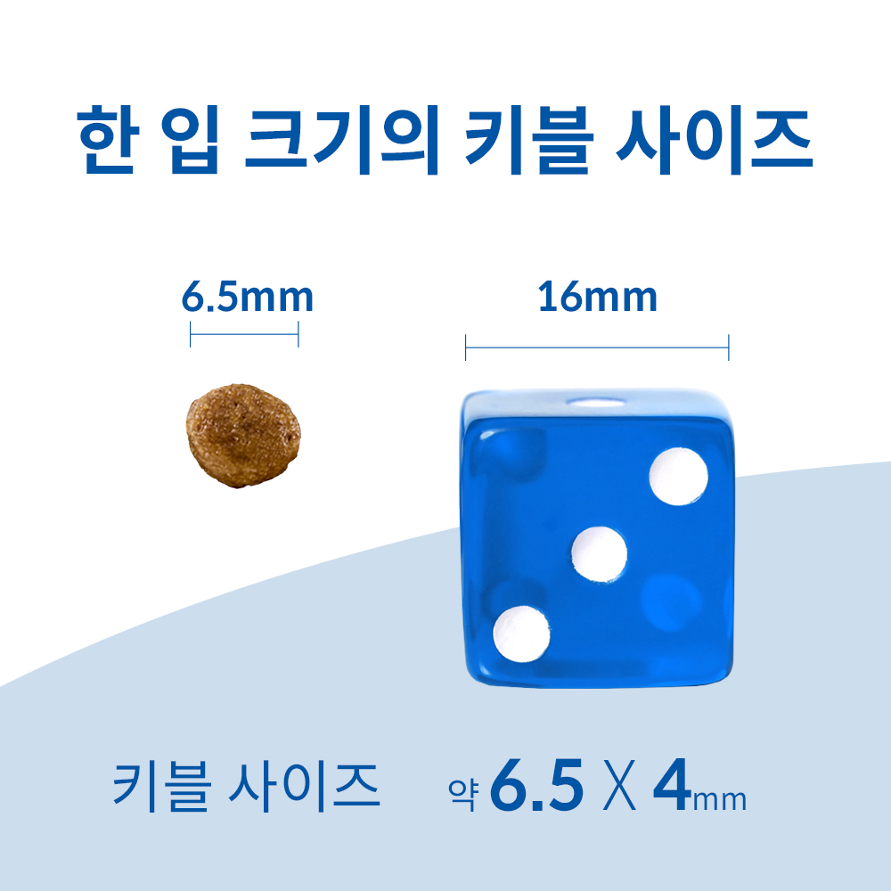 힐스 강아지사료 퍼피 스몰바이트 2kg 이미지 4
