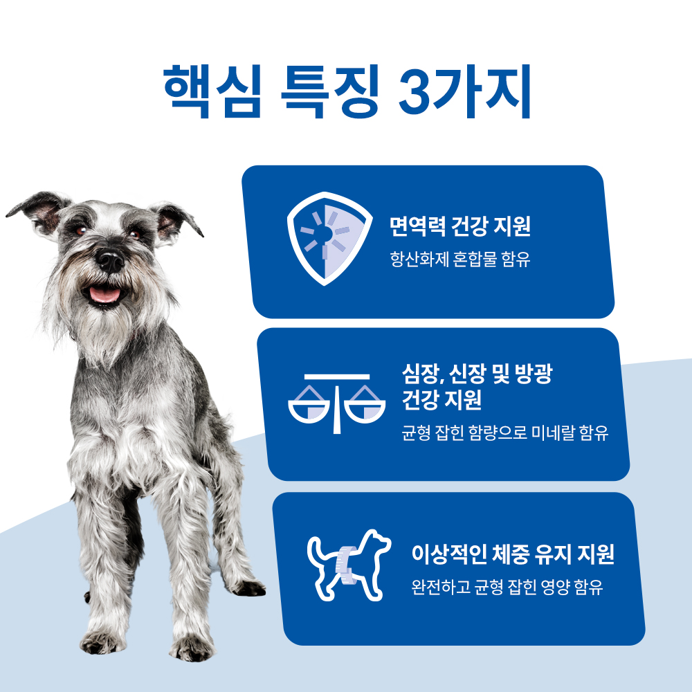 힐스 강아지사료 소형견 전용 7+ 스몰 앤 미니 스튜 99g X 12개 이미지 3