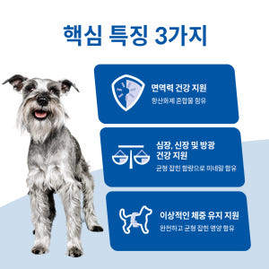 힐스 강아지사료 소형견 전용 7+ 스몰 앤 미니 스튜 99g X 12개 솔직 후기 | 실제 사용자 리뷰 총정리 - 상품 이미지 3