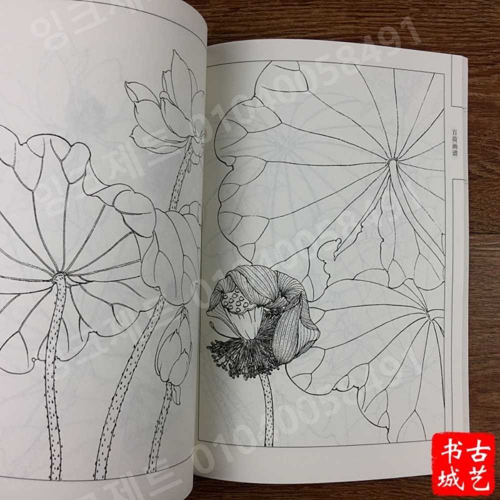 연꽃 스케치 색칠놀이 배경 정원 회화 컬러링 색연필 - 상품 이미지