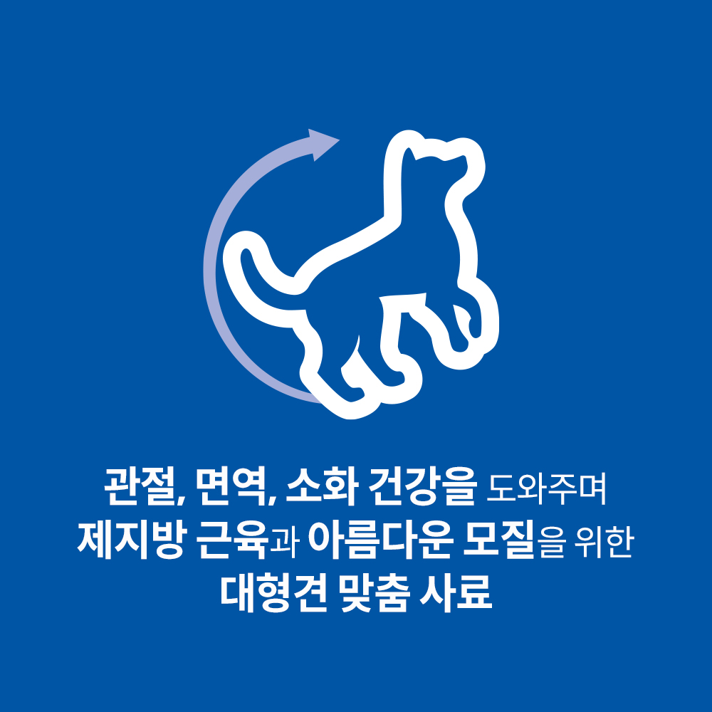 힐스 강아지사료 대형견용 라지브리드 어덜트 6.8kg 이미지 2