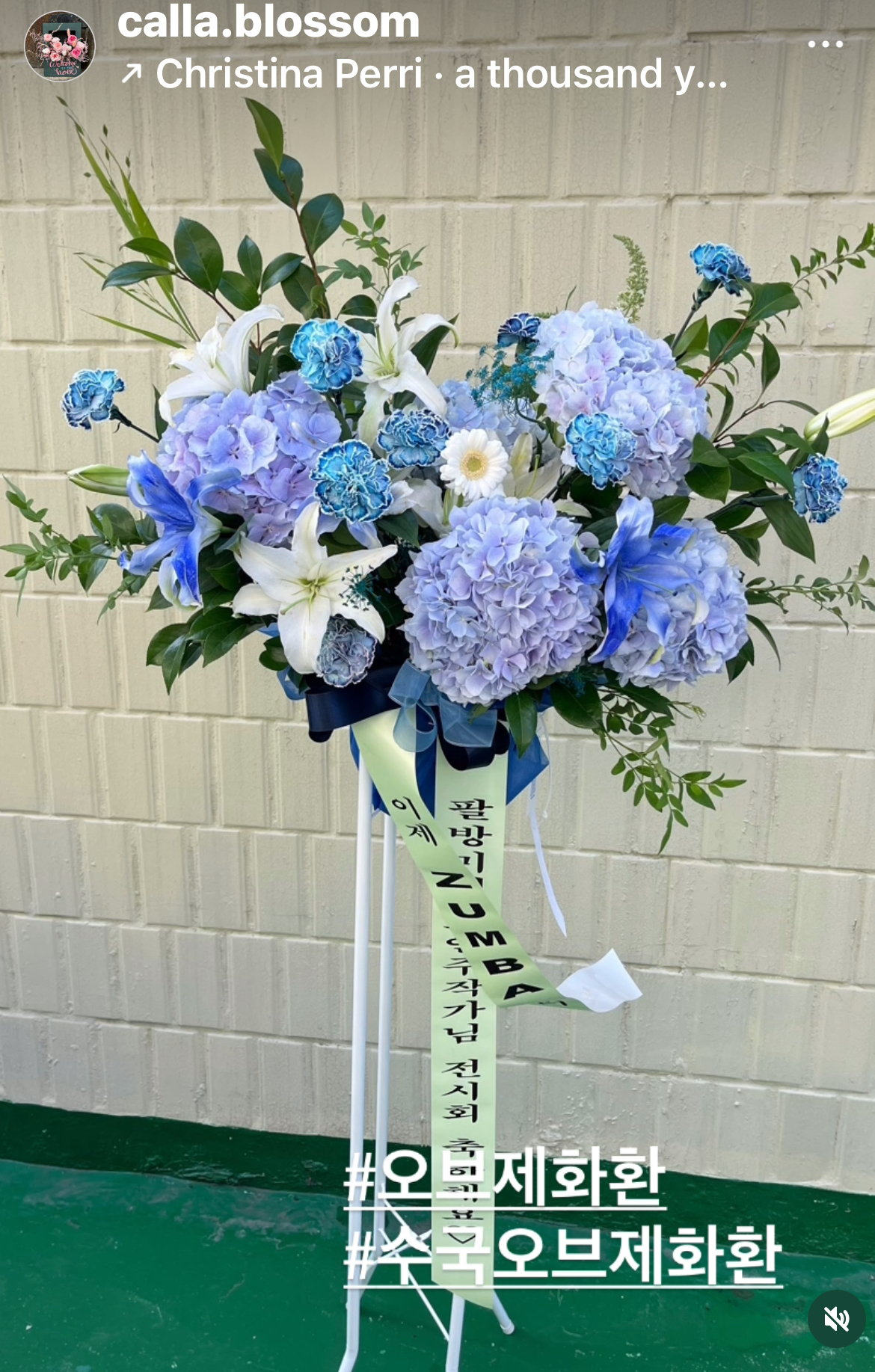 서울 오브제화환 생화화환 전시축하화환 축하화환 화환 개업화환 수국오브제화환 - 상세 이미지 3
