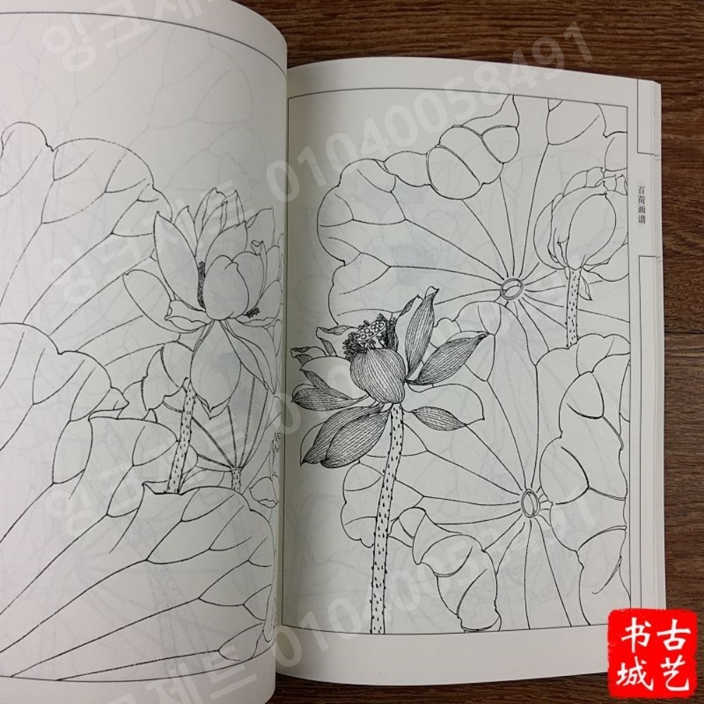 연꽃 스케치 색칠놀이 배경 정원 회화 컬러링 색연필 - 상세 이미지 4