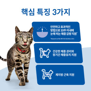 힐스 고양이사료 어덜트 퍼펙트 웨이트 스튜 82g 주식 습식캔 x 12개 솔직 후기 | 실제 사용자 리뷰 총정리 - 상품 이미지 3