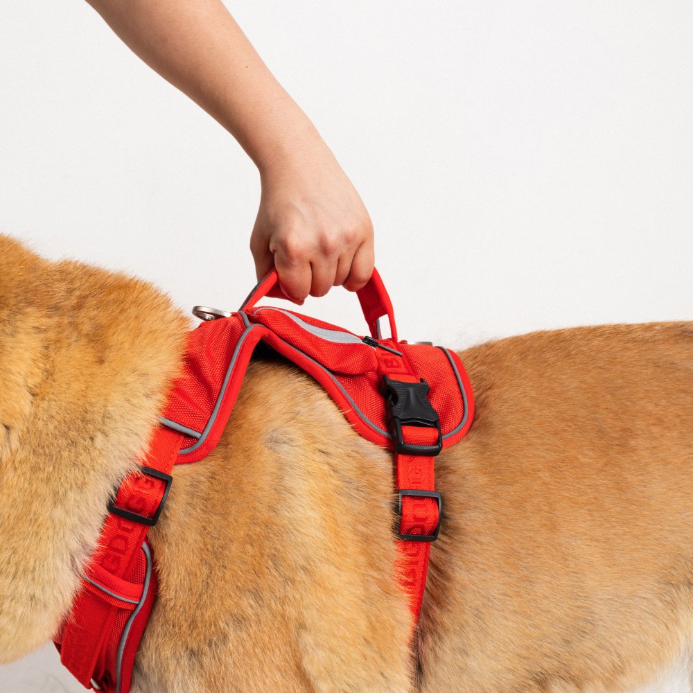 강아지 하네스 앞섬방지 가슴줄 대형견 하네스 H형 빅네스