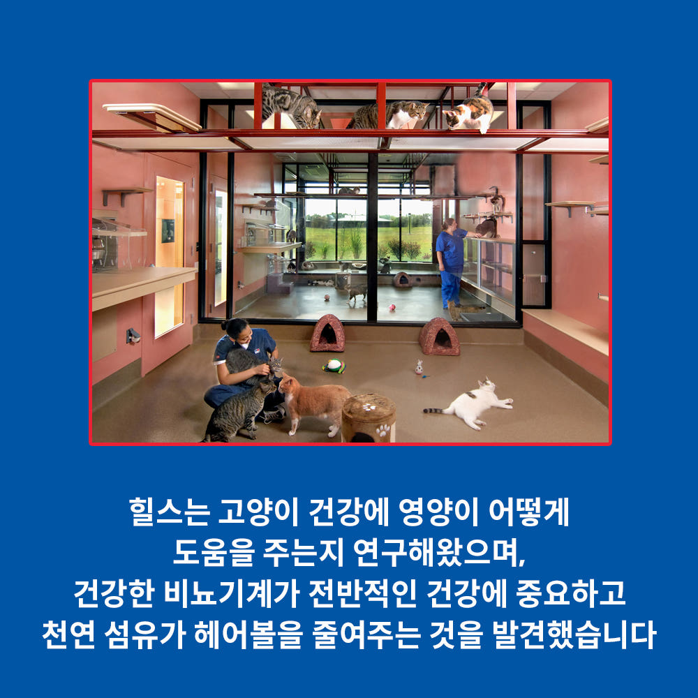 힐스 사료 패키지