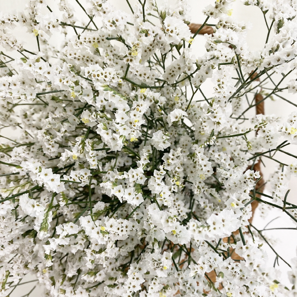 시네신스 반단 꽃배달 싼곳 생화 택배 꽃정기구독