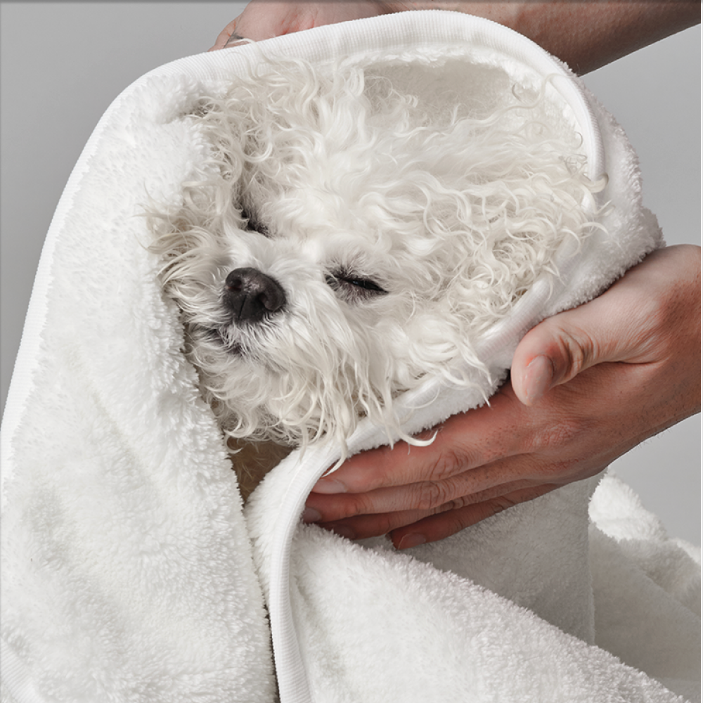 헤이테일 강아지 수건 고양이 목욕 극세사 빠른건조 소형 대형 펫타올